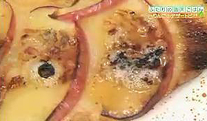 ringopiza2.JPG